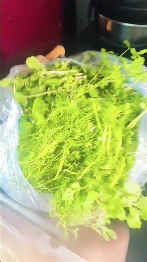 #bollywood #song #ytshort #ytvedio