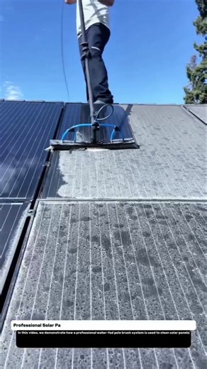 Professional Solar Panel Cleaning – Water-Fed Pole Brush for Maximum Efficiency.