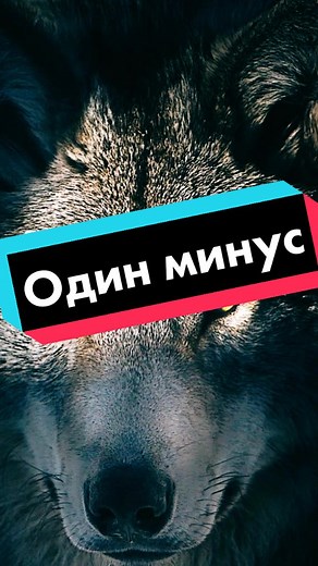 @Александр (@s_shurik)’s videos with оригинальный звук - ЦиТаТы