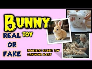 Are These Ultra-Realistic Robotic Bunnies Real or a SCAM?
