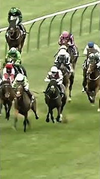👀WATCH How BILLY LOUGHNANE and BEYLERBEYI won the Cesarewitch Today!What-A-Ride!