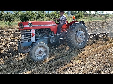 1967 MODEL MASSEY FERGUSON 165