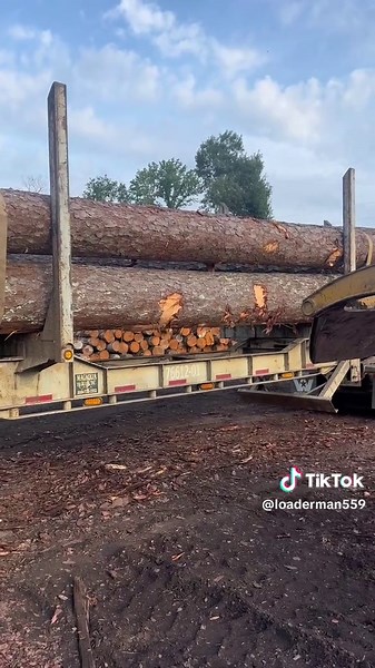 Best Log Trucks: Peterbilt vs Western Star Comparison
