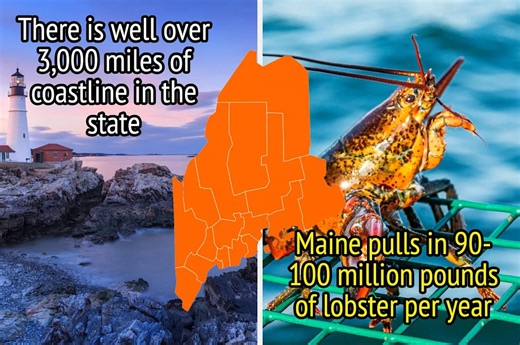 22 Bizarre Facts About Maine That Will Make You Spit Out Your Lobster Roll