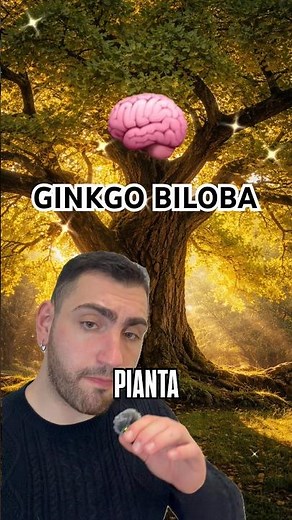 GINKGO BILOBA: La pianta che potenzia il cervello 🧠🌿