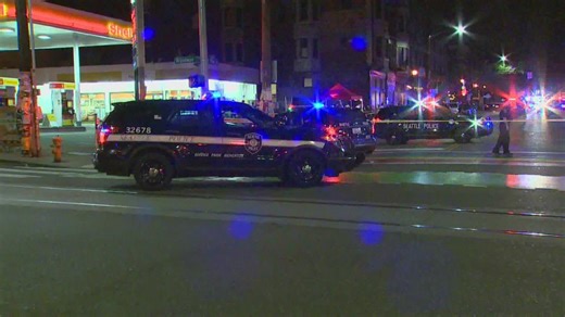 Seattle police need about 400 more officers for public safety, chief says