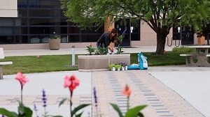 153K views · 8.6K reactions | Planting 11 Different Container...