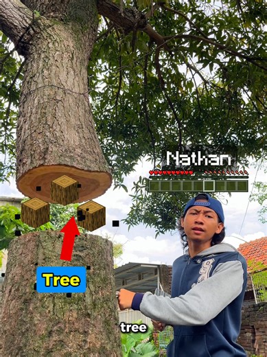 Tree Vocabulary in English Learning