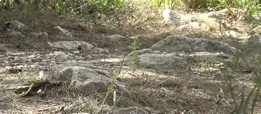 State of Missouri releases app to track flooding and drought conditions