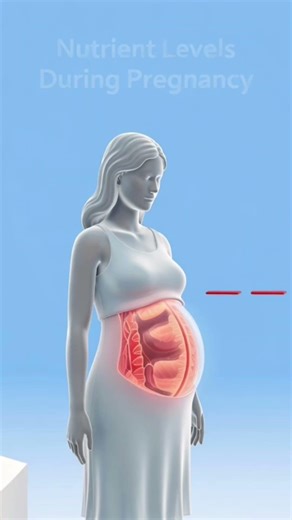 Do You Really Need a Multivitamin Every Day? 💊🤔? | Shocking Health Facts