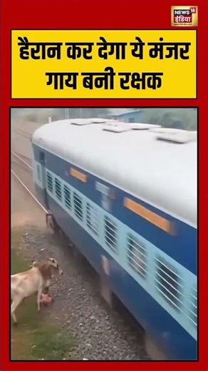 Viral Video | हैरान कर देगा ये मंजर—गाय बनी रक्षक | #viralnews | Fact Check - AI Generated