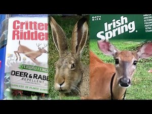 Three Ways We Keep Deer and Rabbit OUT of the Garden: Soap, Deer & Rabbit Repellent, Critter Ridder