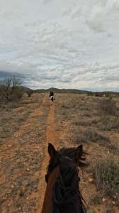Explore breathtaking landscapes on horseback riding adventures! Make the most of your summer with a week at a dude ranch! #duderanchvacations #duderanchadventures #duderanchlife #duderanchhorses #duderanchactivities | The Dude Ranchers' Association