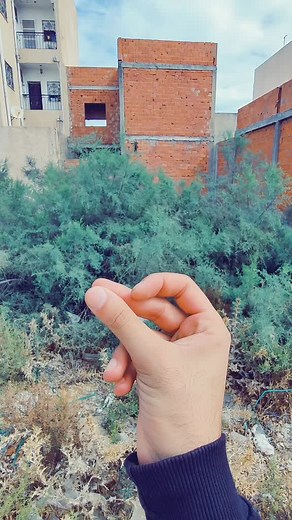 Essential Steps in Foundation Construction