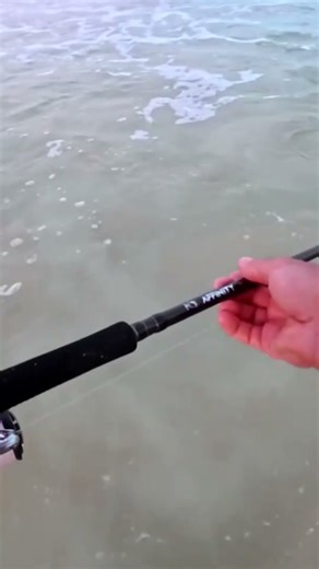 Beaches changing #beach #ocean #fish