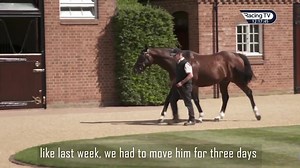 Fair to say the brilliant Frankel is his own man! A tale here from Stud Director Simon Mockridge Juddmonte Farms - FanPage | Racing TV