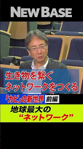 【驚異の映像】カビ研究（前編）植物 細菌と共生！自然をつなぐ菌糸ネットワーク／最先端の顕微鏡でカビの成長を可視化／カビは太古から生態系の創造者だった！