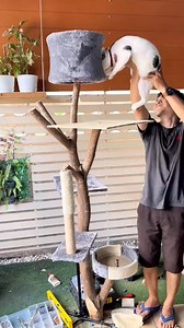 ป๊อบคอร์น แมวเถียงเก่ง on Reels