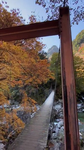 高知の秘境紅葉スポット、瀬戸川渓谷。高知は自然の都会やき。#高知 #レペゼン高知 #瀬戸川渓谷