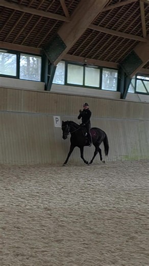 Hi ! this is me 🤣 #dressage #horse