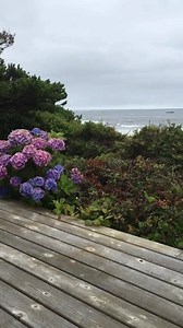 119 reactions · 20 shares | Looking for a relaxing romantic getaway for two? Come check out Driftwood Cottage with your loved one today! | Oregon Beach Vacations | Facebook