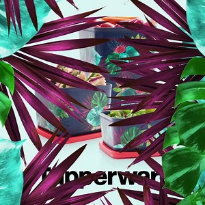 Nos nouvelles Boîtes Cubix Mahalo débarquent tout l'été avec différentes contenances pour tous vos besoins ! | Tupperware France Officiel