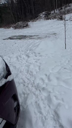 Basement Beast (@basementbeast)’s videos with original sound - Basement Beast