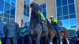 Armed with injunction against harvesters, Furey hopes to push delayed budget forward | CBC News