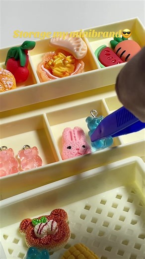 Storage my minibrand!so cute!🥰 #rement #minibrand #fyp #miniworld #minitiny #miniature #mini #minibrandstorage #tinytoy