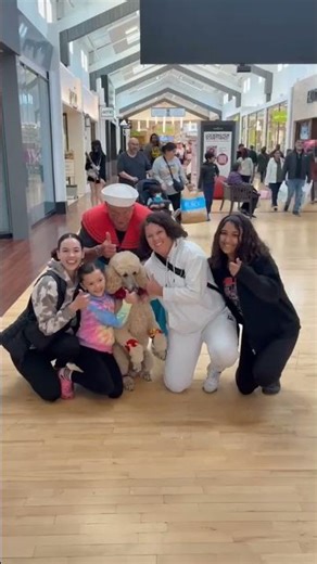 #smile #pappythepoodle #thepappystroll #pappymakesyouhappy