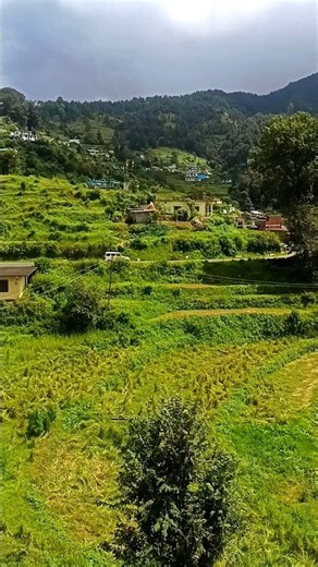 #trip #roadtrip #mountains #nature #uttarakhand #travel #shorts #pahadi #viral #trending #ytshorts