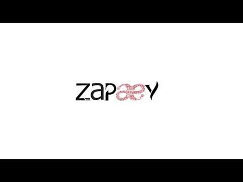 How to Create a Professional Gig on Zapaey