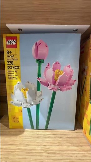LEGO flower/plant sets are easy to build and the perfect springtime household decor!