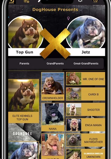 🚨🚨🚨Try our brand new Mating Pedigree simulator using the BreederHub CRM on the DogHouse app!