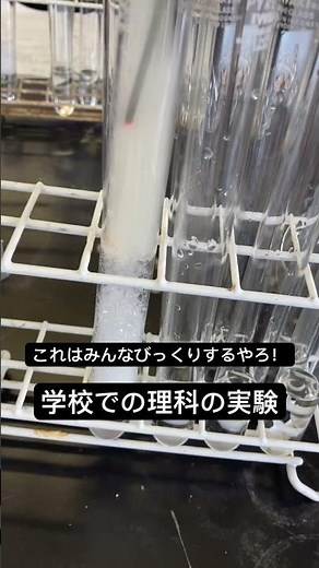 学校での理科の実験！びっくり！#高校生 #酵素 #理科 #実験 #生物基礎 #高校