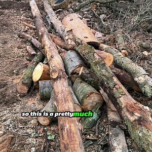 37K views · 320 reactions | Tractor vs Timber - Dragging Logs to the Woodyard! part 10 | Back 40 Firewood | Facebook