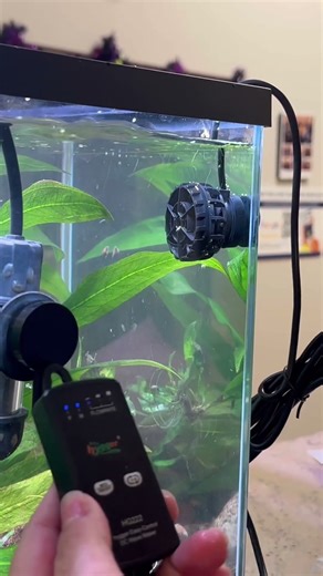 ⚙️ Wavemaker Placement | How I Positioned It in My 10-Gallon Tank