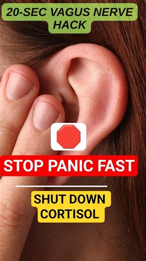 ⚡️ Vagus Nerve REBOOT: Stop Panic in 20 Seconds (Clinical Bio-Hack)