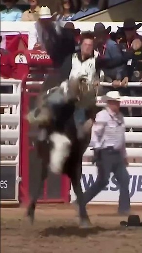 Cooper Cooke vs Calgary Stampede's Disco Party | 2025 Calgary Stampede Finals