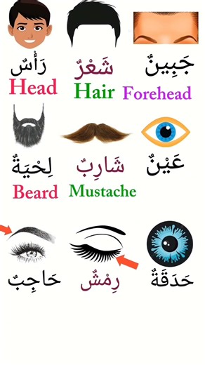 Learn BODY PARTS in ARABIC & ENGLISH!