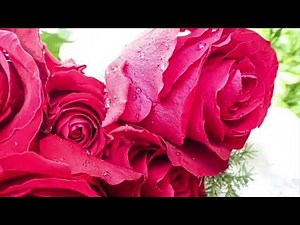 赤いグラス (ギター: やすきち)(歌：アイ・ジョージ 作詞：門井八郎 作曲：牧野 昭一)