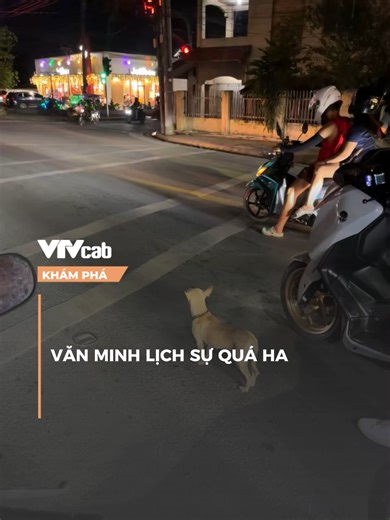 Văn minh lịch sự quá ha #vtvcab #khampha #vtvcabkhampha #onlive #tth #TetGiuLua