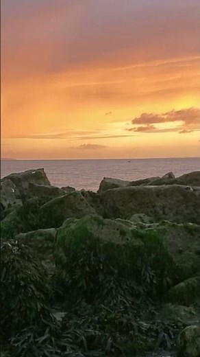 Rock Pools rely on the tides #tidalenergy #rockpool #oceanlife