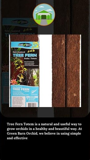Tree Fern Totem – A Natural Way to Grow Healthy Orchids