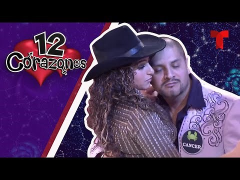Potros pura sangre | 12 Corazones