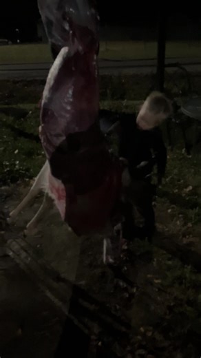 Derek Bailey (@derekbailey1988)’s videos with original sound - Derek Bailey