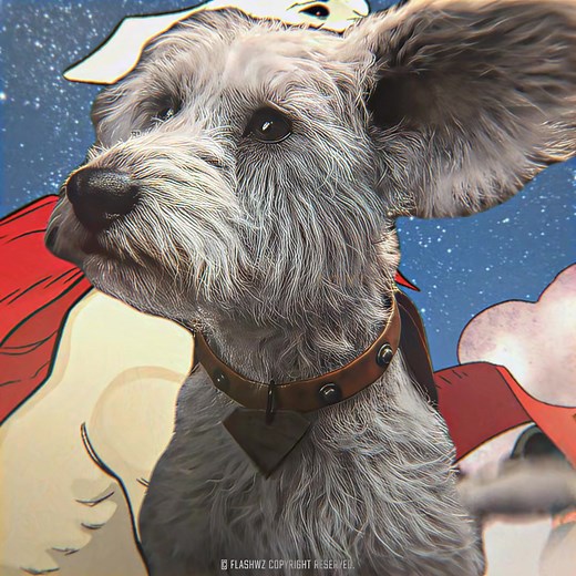 Cute Krypto: The Adorable Super Dog