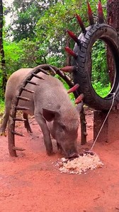 New Technique Wild Pig Trap Make Using Tires & Rice with Hole #shorts #reelschallenge | Home Trap