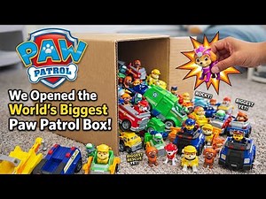 Paw Patrol Rescue Toys Unboxing! 🏎️ New Cars, Trucks & Favorite Characters