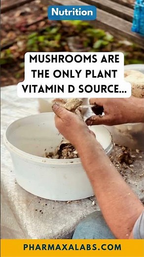 The Only Plant Source of Vitamin D! ☀️ Why You Need More Mushrooms